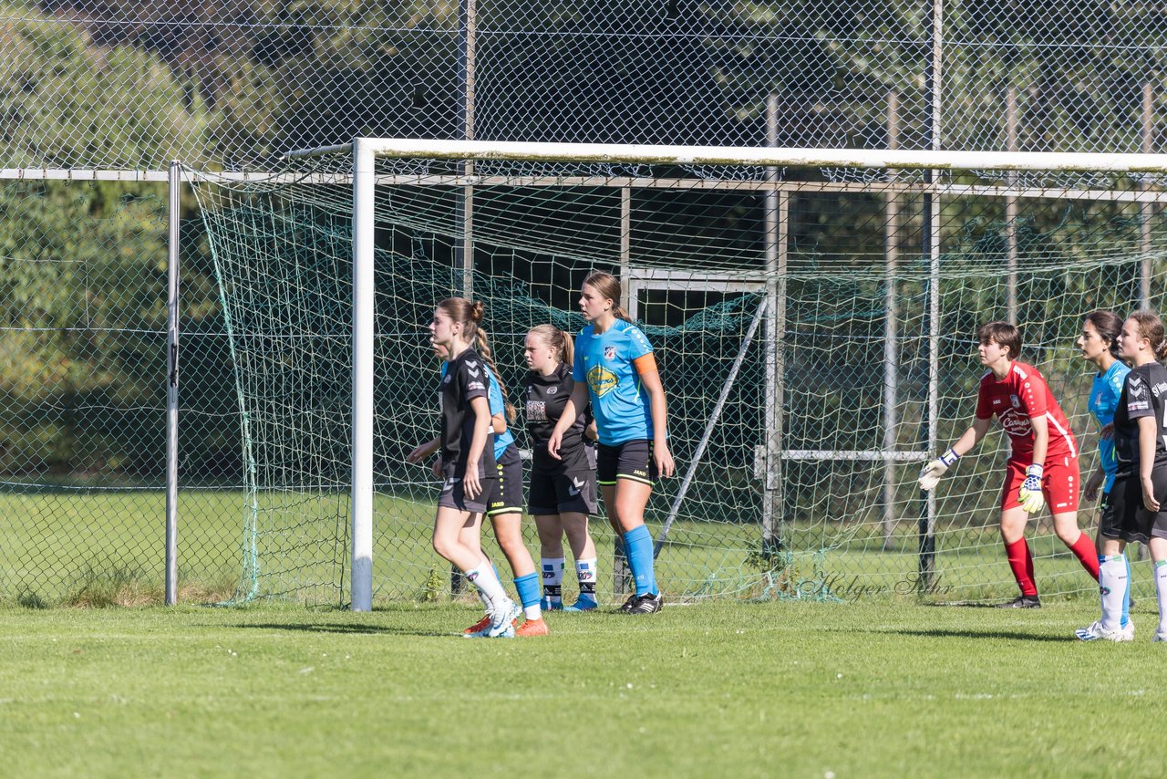 Bild 126 - wBJ SV Henstedt Ulzburg - FSG Oldendorf Itzehoe : Ergebnis: 2:5